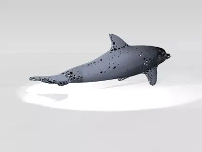 Dolphin Voronoi 3D model