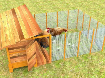 Chicken Coop  3D model