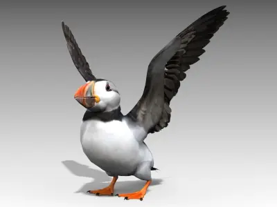 Puffin bird Low-poly 3D model