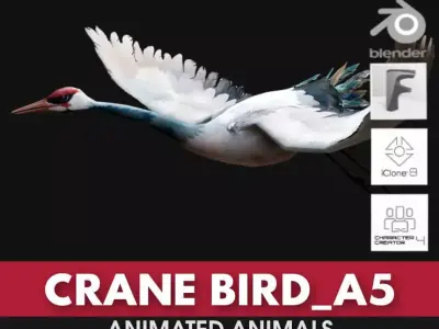 Crane Bird A5 3D model