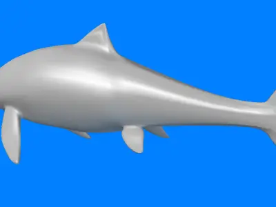 Ichthyosaurus dolphin 3D model