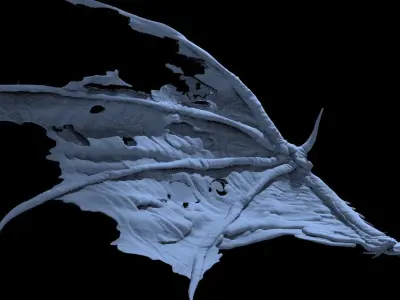 Dark Bat Wings 2  3D model