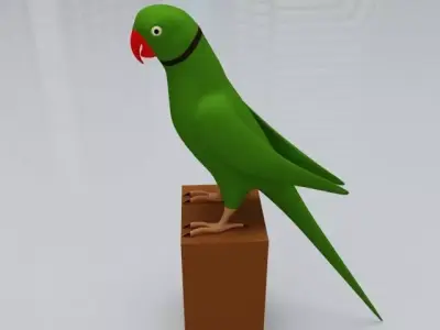 Green Parrot Low-poly 3D model
