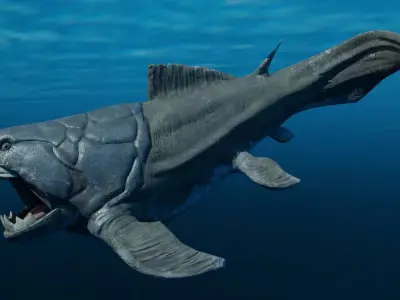 Dunkleosteus Animated Low-poly 3D model