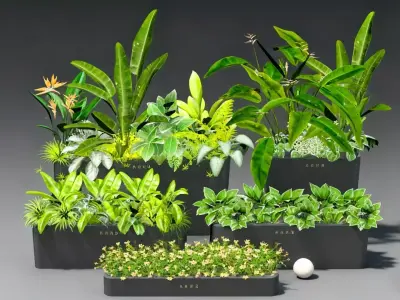 Home Green Plant Matching 3D model