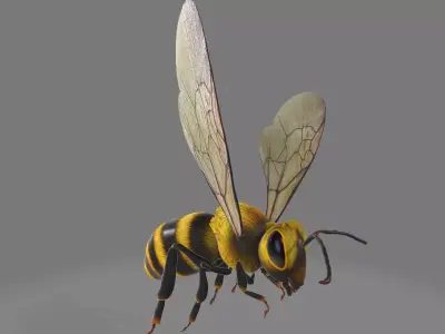 Fly bee 3D model
