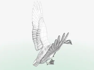 Canada Goose - rigged - animated 3D model