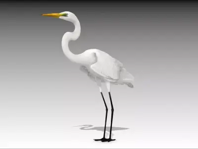 Egret Low-poly 3D model