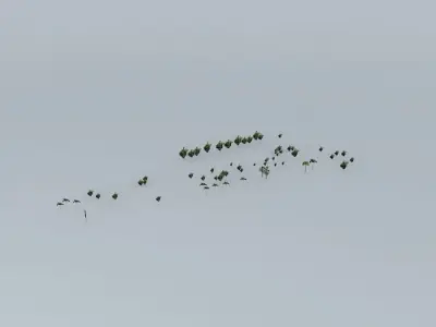 Trees on the Port Part 07 Free 3D model