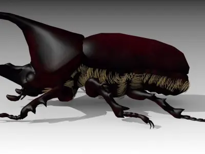 Rhinoceros Beetle Low-poly 3D model