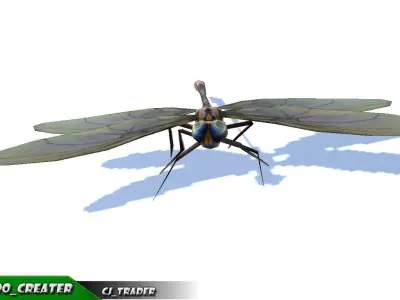 Low-Poly Dragonfly Rigged Animated 3D Model Low-poly 3D model