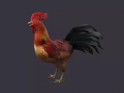 rooster rigged bird farm cock feather chicken poultry animal 3D model