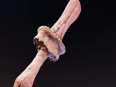 Cursed Tongue Sword Low-poly 3D model