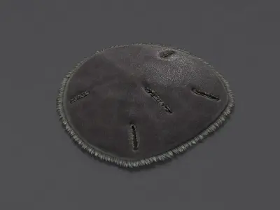 Sand Dollar Low-poly 3D model