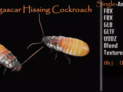 Madagascar Hissing Cockroach Low-poly 3D model