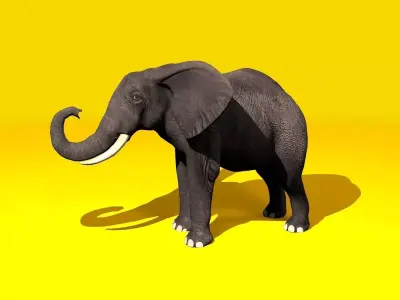 Elephant Rigged and GIFT Low-poly 3D model
