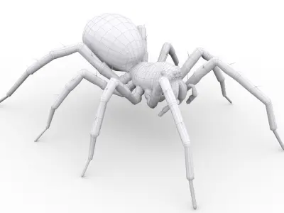 Wolf Spider Animated Low-poly 3D model