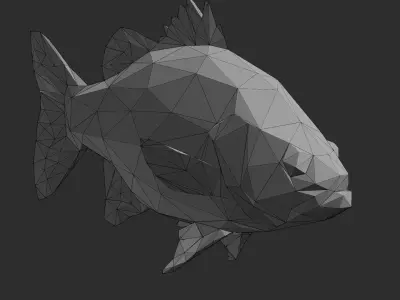 Low Poly Australian Bass Low-poly 3D model