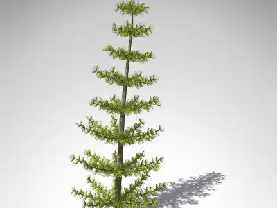 XfrogPlants Calamites 3D model