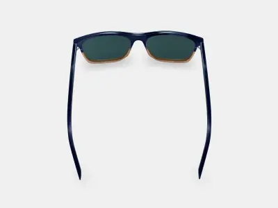 Fletcher Sunglasses in Antique Shale Fade 3D model