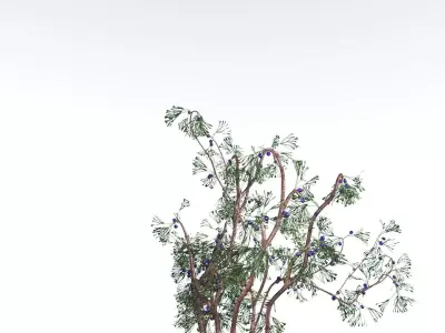 EVERYPlant Baiera 3 --14 Models-- 3D model