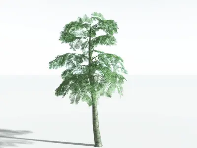 EVERYPlant Alethopteris Seed Fern LowPoly 4 --12 Models-- Low-poly 3D model