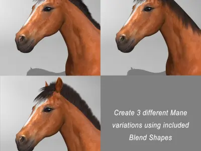 Horse Brown 3D model get