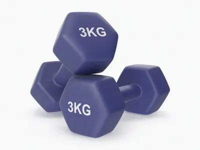 Plastic Fitness Dumbbells 3kg 3D model
