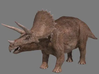 Triceratops Tribute - 8K 3D model