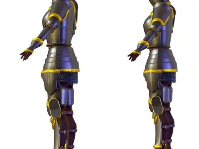 Subdivision 3D Women The Grey Knight Low-poly 3D model