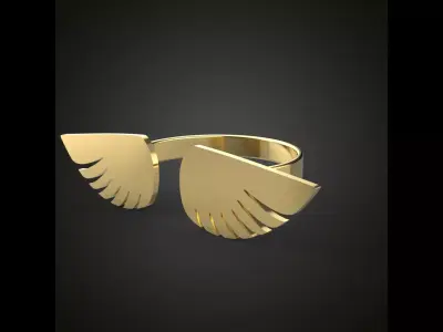 Wing ring Free 3D print model