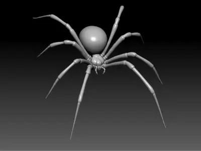 Black Widow Spider Low-poly 3D model