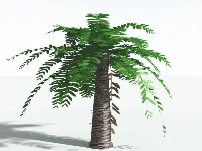 EVERYPlant Pseudoctnis Cycad LowPoly 2 --12 Models-- Low-poly 3D model