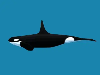 Low Poly Cartoon Orca Killer Whale Low-poly 3D model