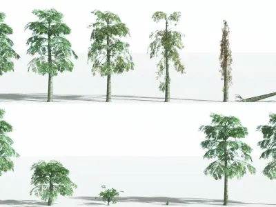 EVERYPlant Alethopteris Seed Fern LowPoly 1 --12 Models-- Low-poly 3D model