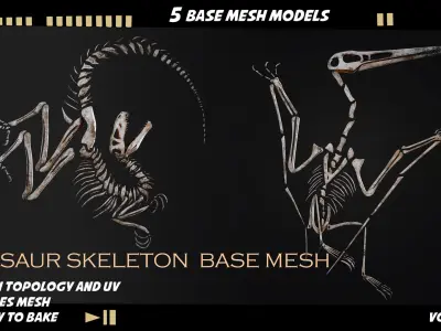 Dinosaur skeleton base mesh-vol 01 Low-poly 3D model