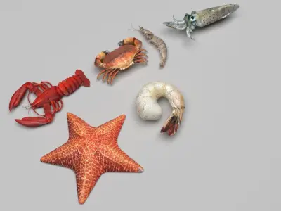 Sea Creatures Set 3D model