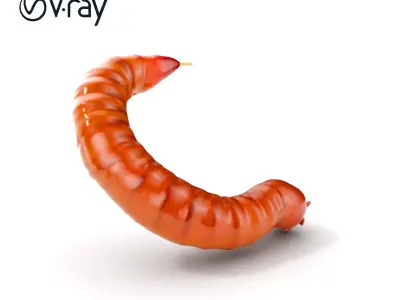 Realistic Centipede Model Pack for D Applications Low-poly 3D model