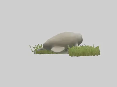 Dugong grazing seagrass model 3D model