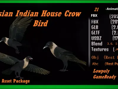 Asian Indian House Crow Bird Low-poly 3D model