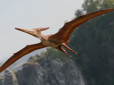 Low poly Realistic Dinosaur - Pteranodon Low-poly 3D model