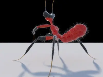Kung Fu Mantis 3D model