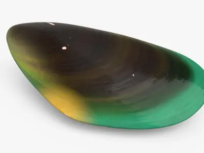 Closed Green Lipped Mussel Shell 3D model