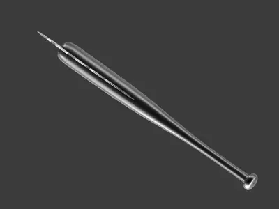 Saw-toothed bat 3D model