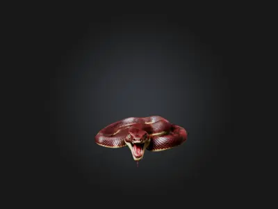Realistic Wounded Snake Model Low-poly 3D model