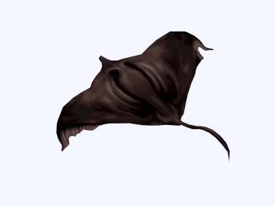 Stingray Low-poly 3D model