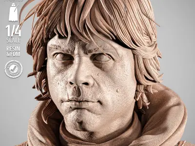 STAR WARS Luke Pilot Portrait Bust  3D print model purchase