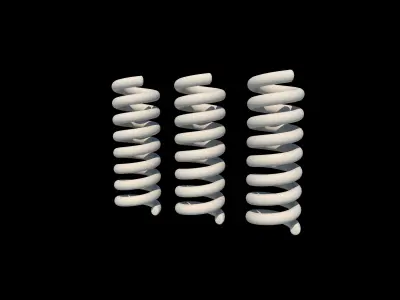 Spring 3D Model 3D model