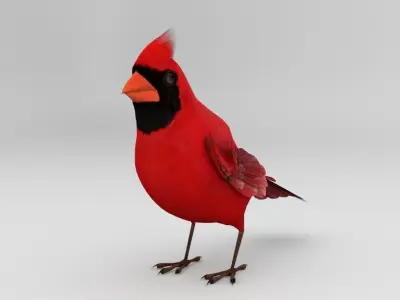 3D Bird Pack Northern Cardinal Male and Female Low-poly 3D model