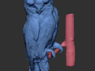 Owl 05 Low-poly 3D model